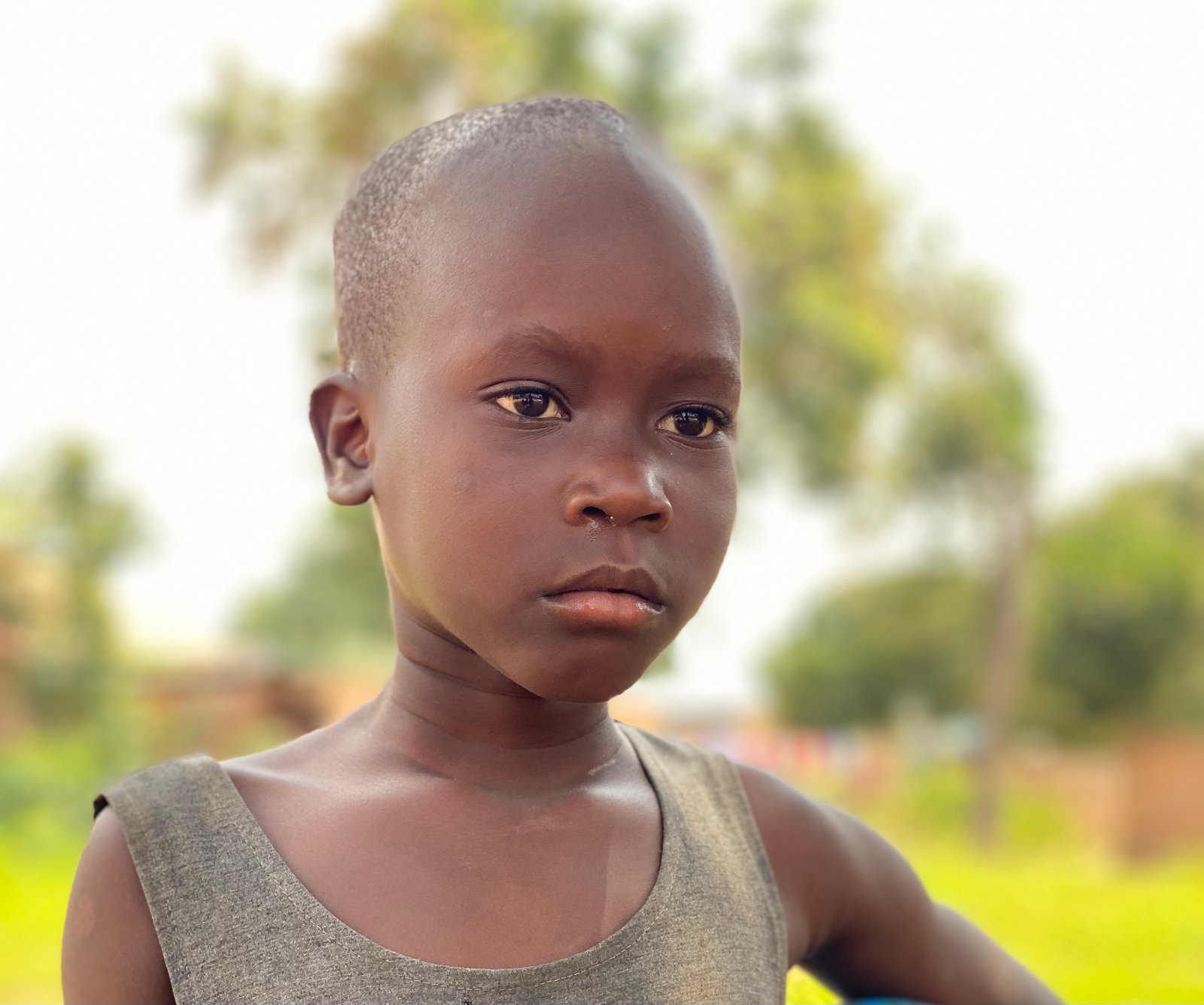 Legal Protections in Education