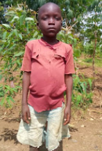 HELDAI KAMANDA MUKISA